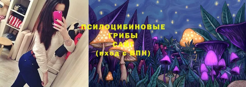 KRAKEN зеркало  Люберцы  Галлюциногенные грибы MAGIC MUSHROOMS 